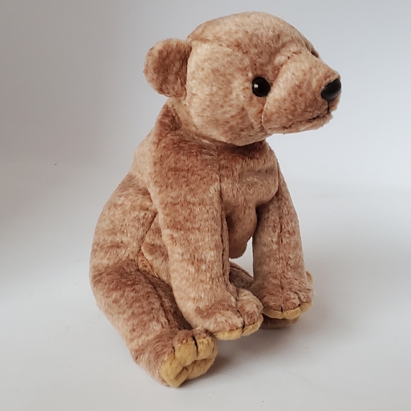 Ty Beanie Baby - Peacan the Brown Bear Plush Stuffed Animal Toy - Picture 3 of 9